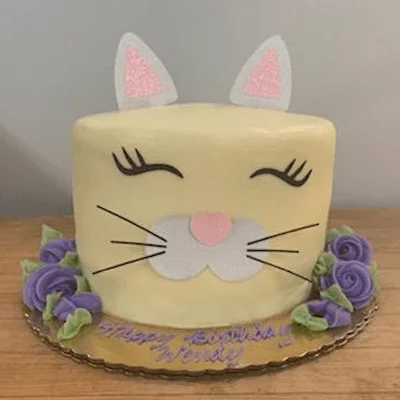 Kitty cat cake with whiskers and fondant ears