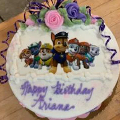 Paw Patrol birthday cake